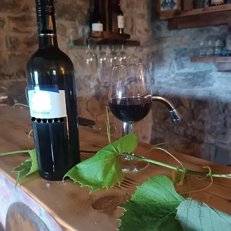 Relax House Kolpa View Podzemelj * Gradac