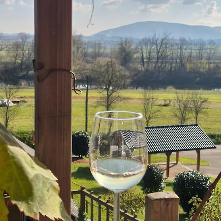 Relax House Kolpa View Podzemelj בית נופש Gradac