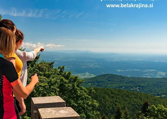 Hébergement de vacances Relax House Kolpa View Podzemelj